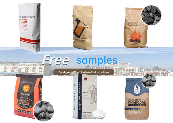 Стандарт GMP промышленных бумажных мешков фильма pe подачи отделенный стерильностью изготовленный на заказ